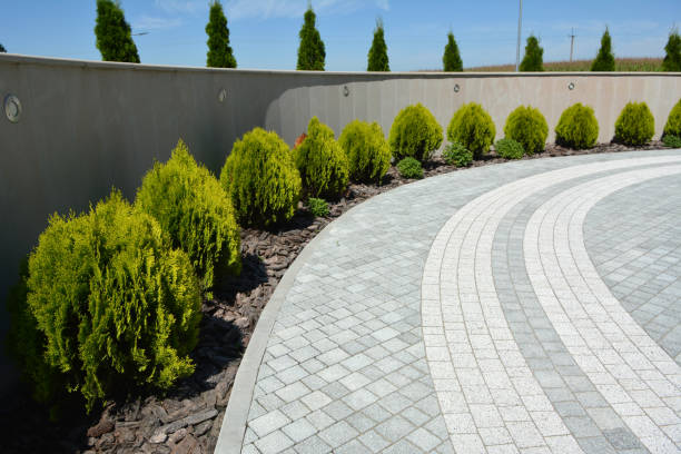 Best Driveway Paving Contractor  in Conashaugh Lakes, PA